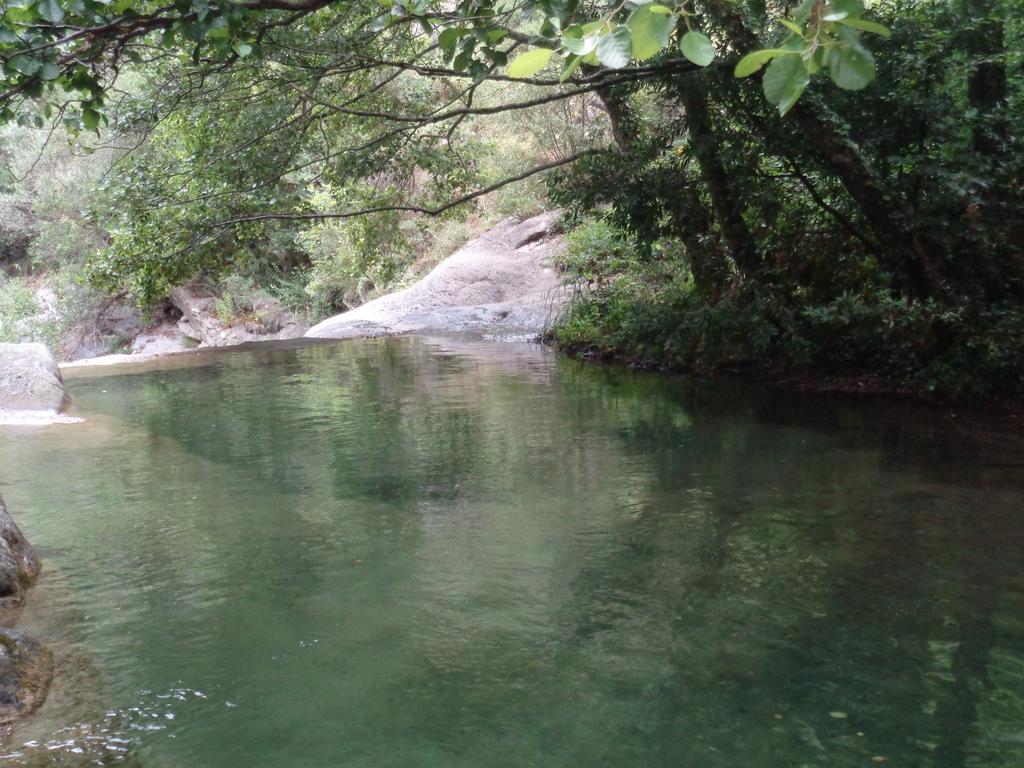 Appartamento Carrerapiana Pigna Cameră foto